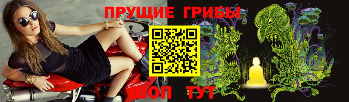 Белогорск  Псилоцибиновые грибы прущие грибы  Галлюциногенные грибы Psilocybe  Вход с VPN 